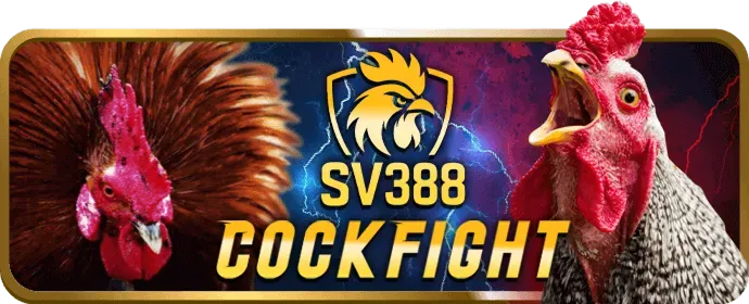 Các chương trình thưởng và ưu đãi đặc biệt cho thành viên VIP của jj888 win